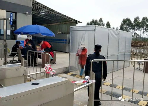 贵港市1 2月外贸进出口增速全区第一
