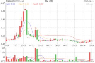 东骏控股 08383