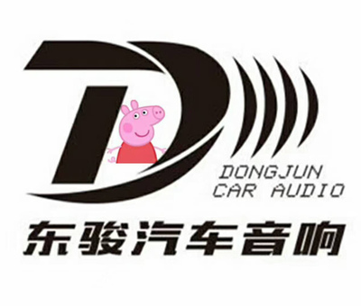 东营东骏途观汽车音响改装丹拿272 音乐一路与你相伴