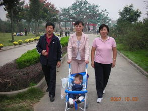 东骏宝宝 品牌背后的故事与成长之路