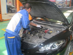 山东东骏达5.15服务实例深度解析 专业服务成就客户信赖